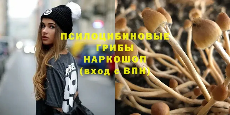 Псилоцибиновые грибы Magic Shrooms Бирюсинск